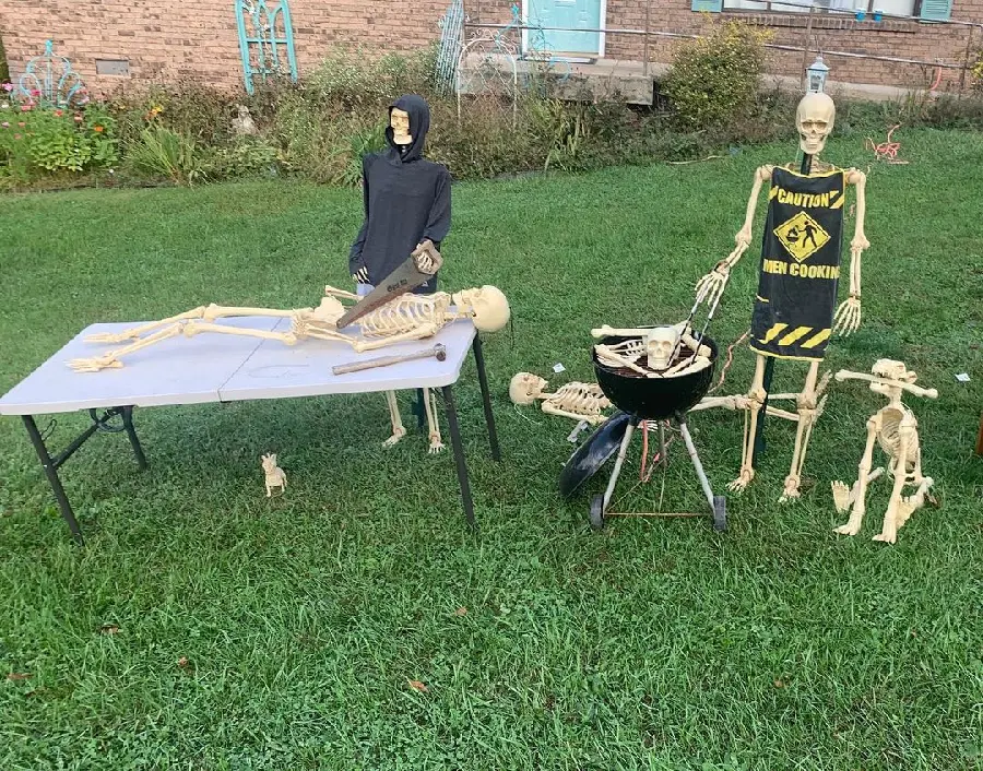 High Quality Realistic Human Skeleton Photo For Halloween