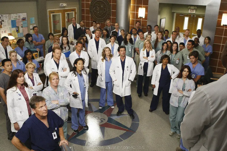 Greys Anatomy Cast High Quality Photo