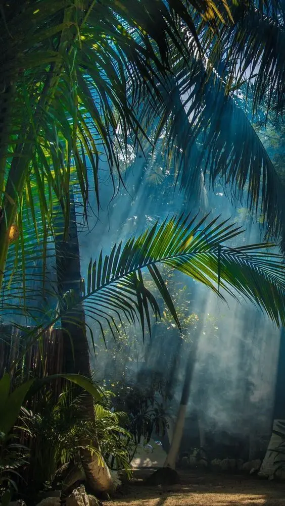 Nature Wallpaper for Mobile Devices