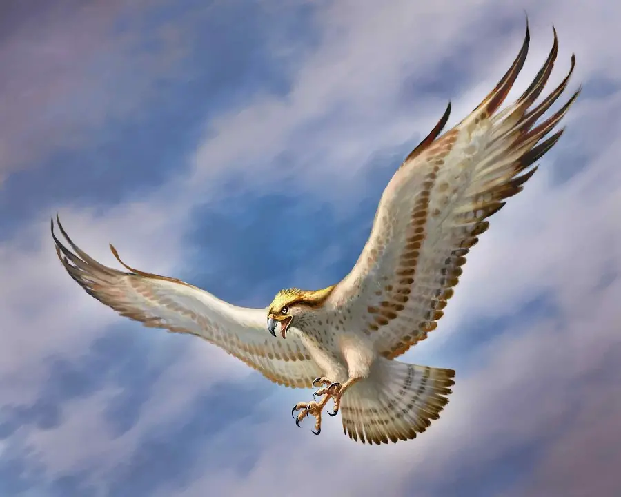 HD and 4K Photos of Golden Eagles in the Wild