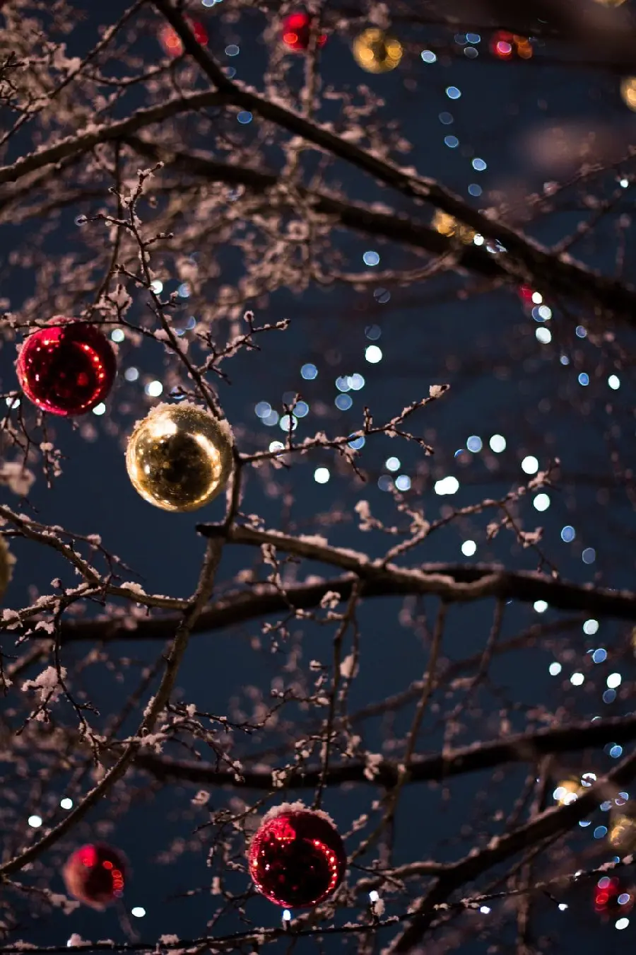 Snowy Christmas tree profile picture in HD quality