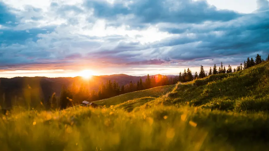 Spring sunrise wallpaper in 4K quality