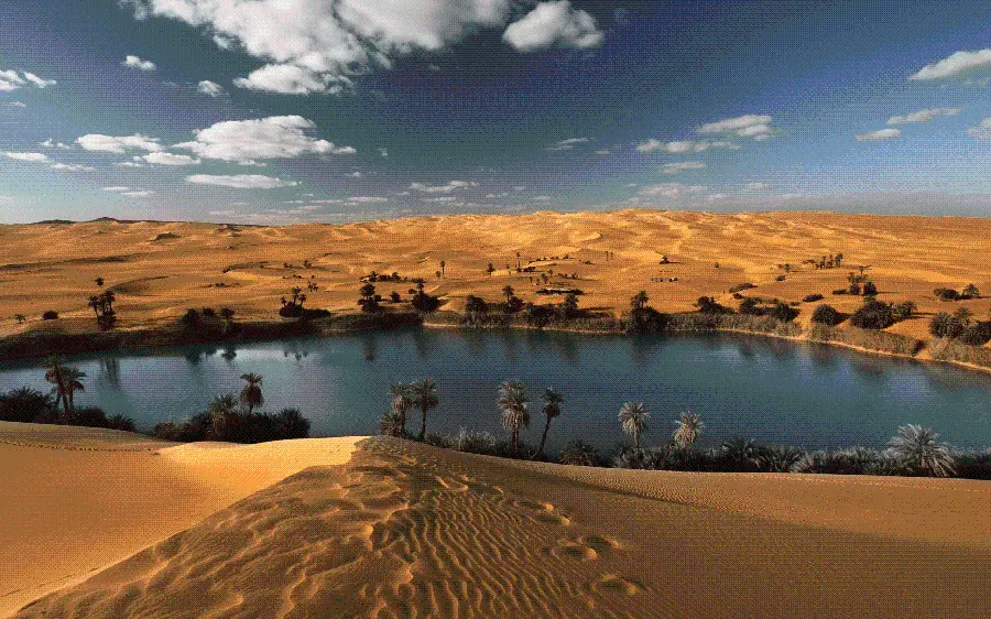 Stunning High Quality Desert Background