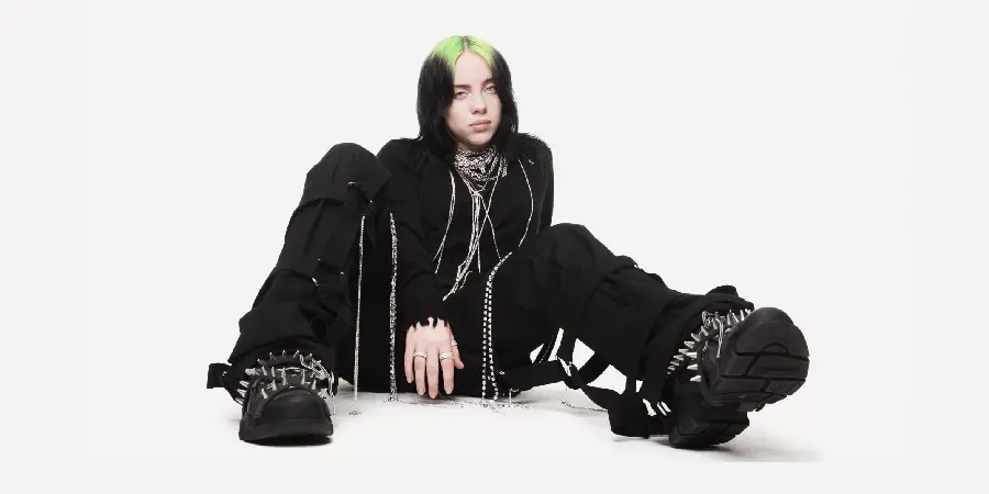 Famous American Singer Billie Eilish Photo