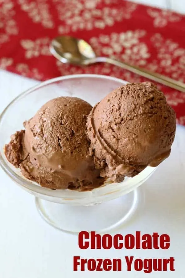 Sweet Frozen Yogurt Dessert HD Photo with Premium Quality