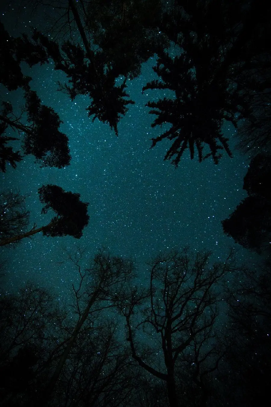 Star Filled Sky Background HD