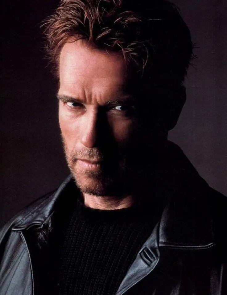 Download Arnold Schwarzenegger Posters For Stores