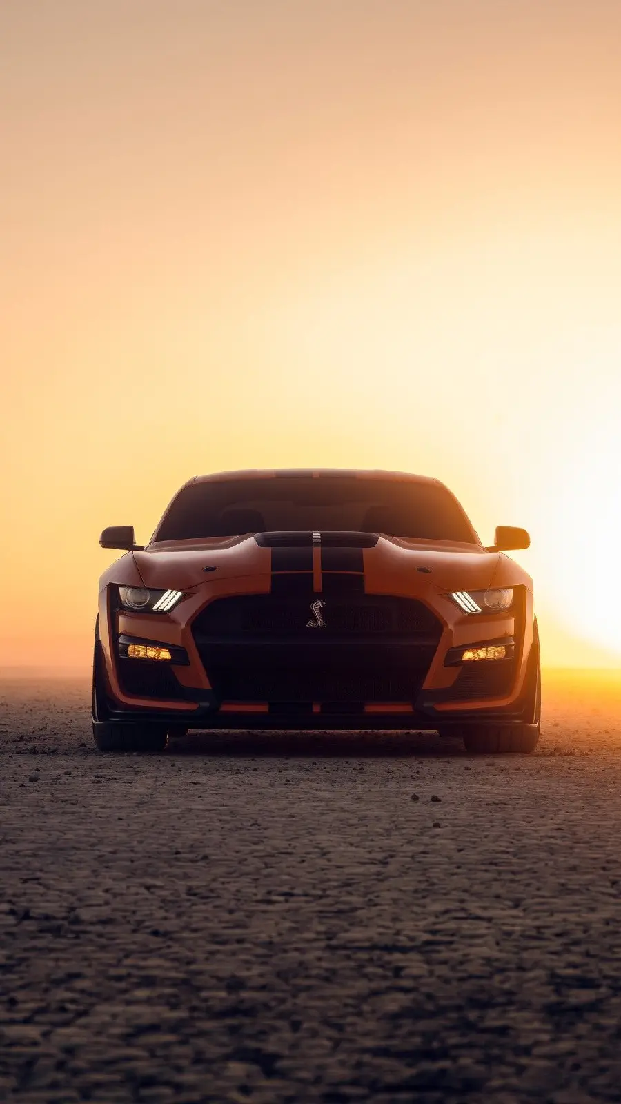 American Shelby Mustang car wallpaper for mobile