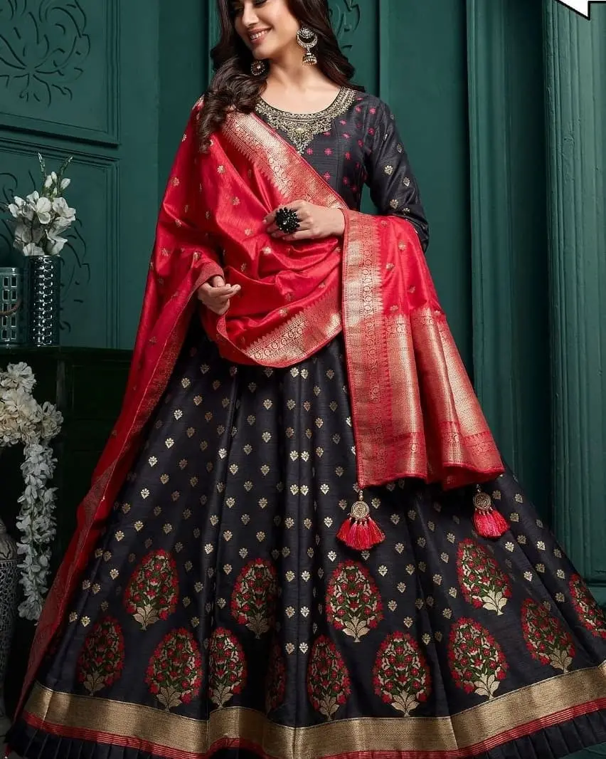 High Quality Image of Popular Indian Dress Among Women