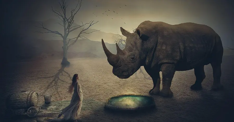 Rhinoceros profile picture high quality image