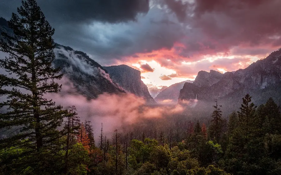 HD mountain trees fog nature wallpaper