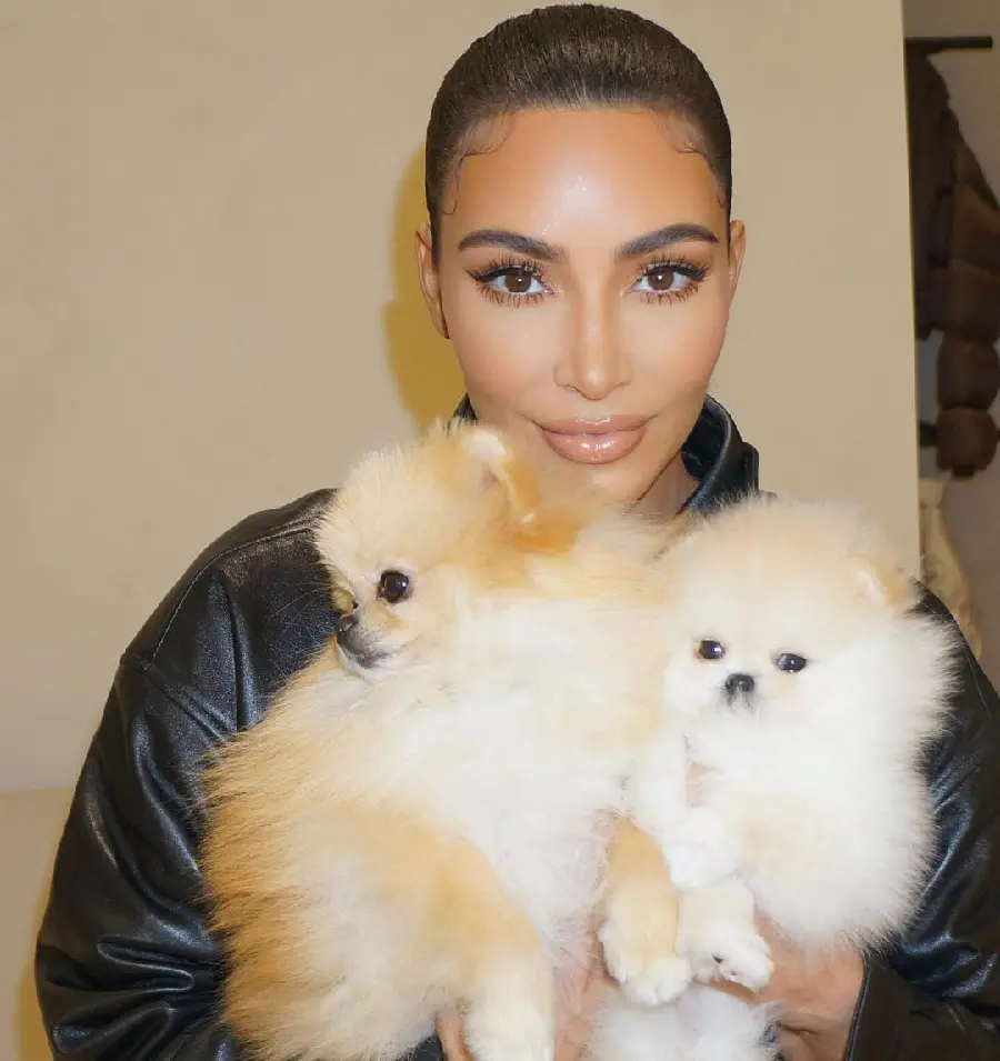 Most Beautiful Image of Kim Kardashian Face with Her Dogs