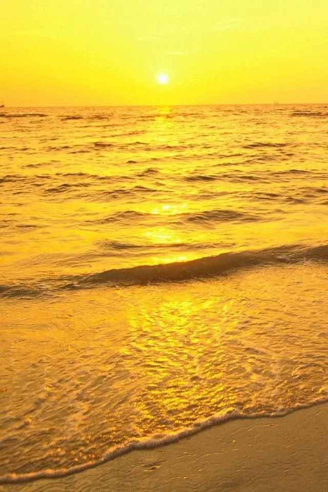 Download beautiful yellow wallpaper