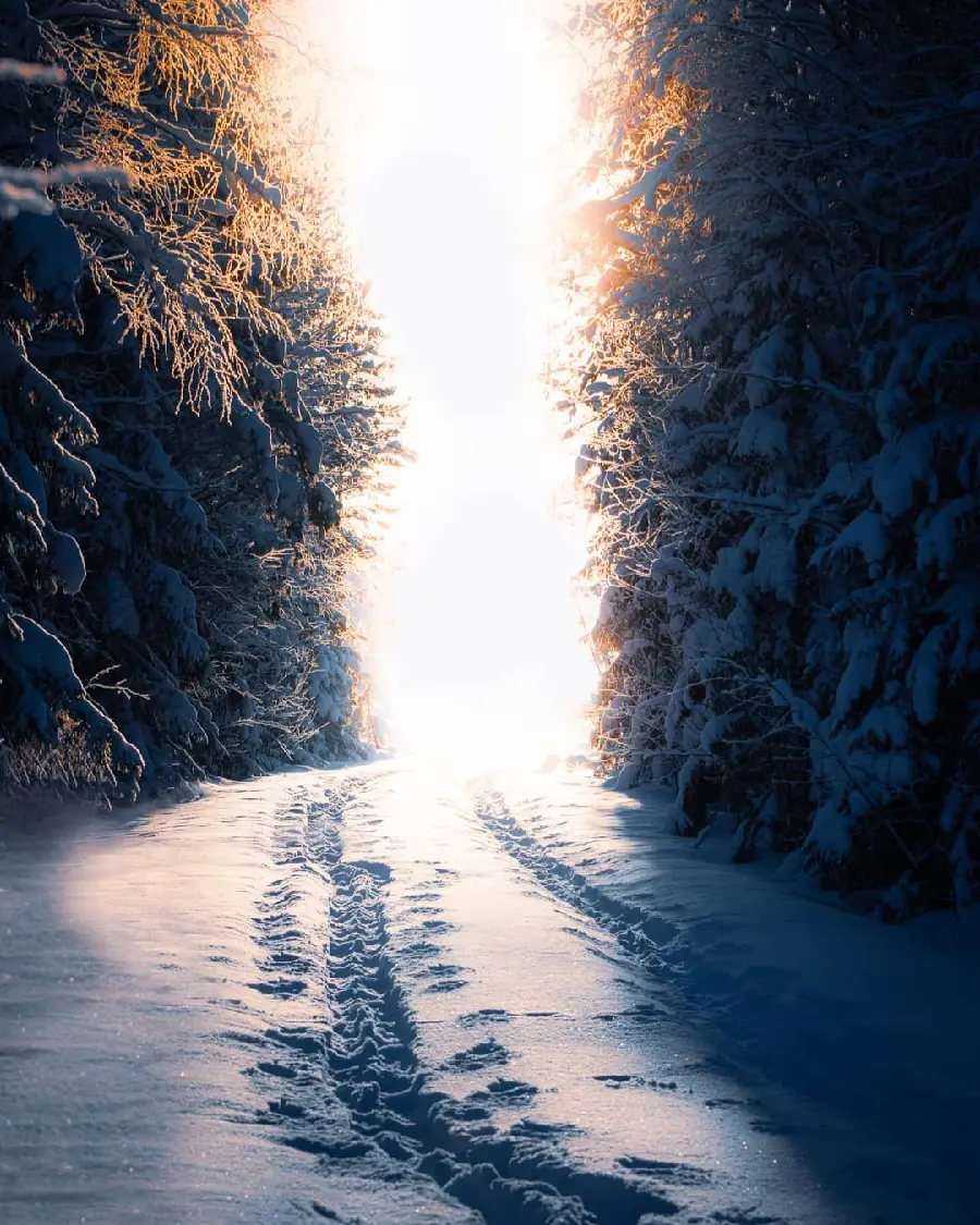 Girly Winter Wallpaper for Phone Background