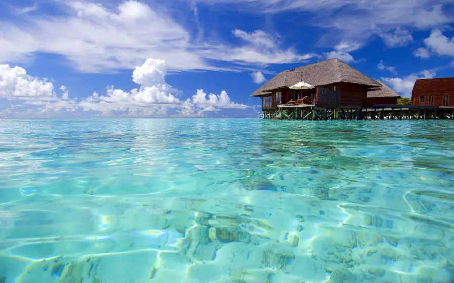 Maldives Island Profile Picture For Social Media