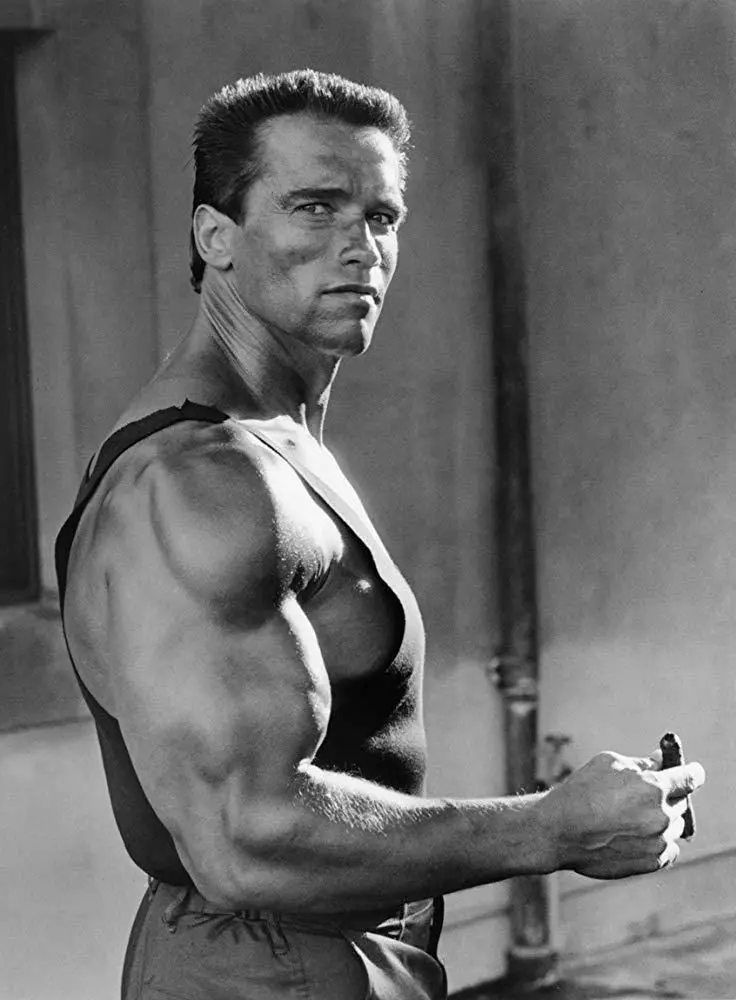 Arnold Schwarzenegger Profile Picture For Social Media
