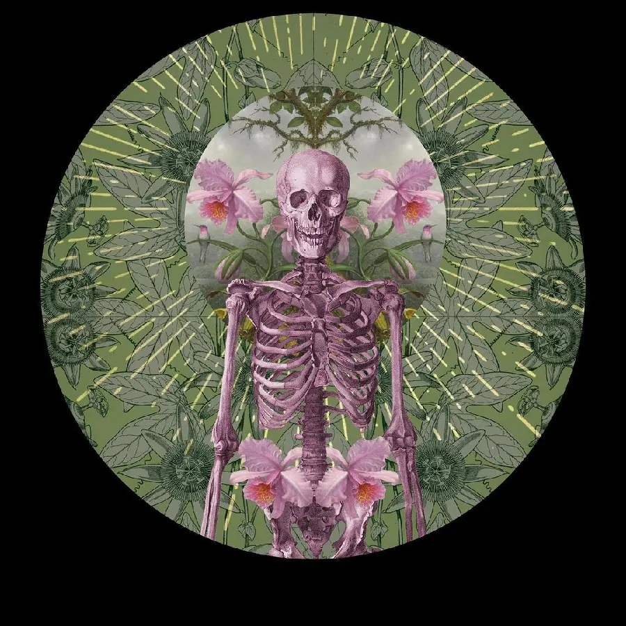 High Quality Pink Skeleton Profile Picture for Social Media