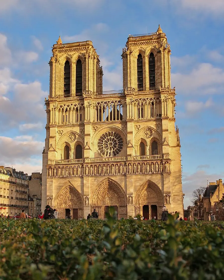 High Quality Photo of Notre Dame Cathedral Paris