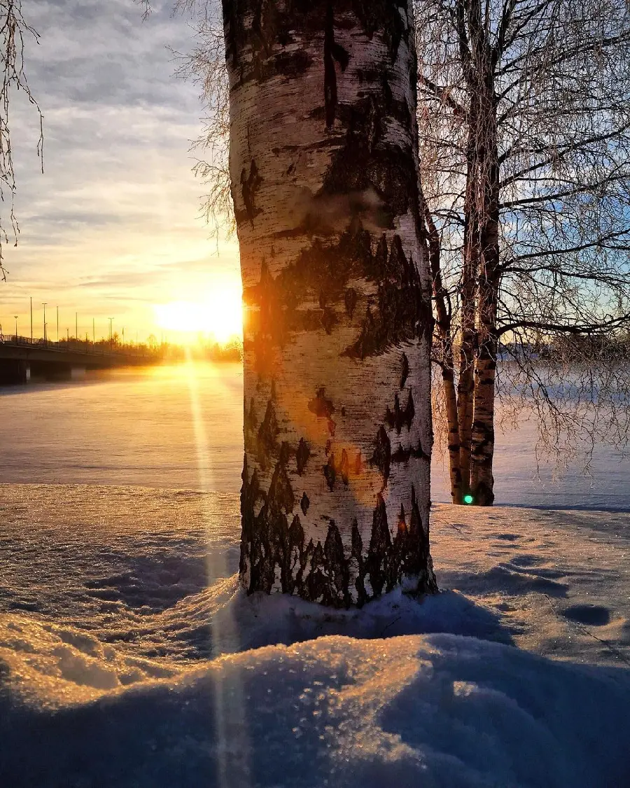 Most Beautiful Winter Landscape Photo