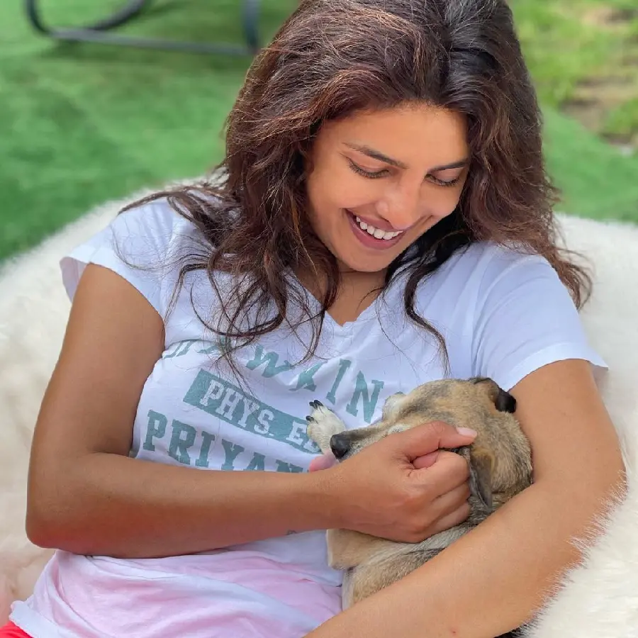 Priyanka Chopra Indian Actress HD Photo Exclusive