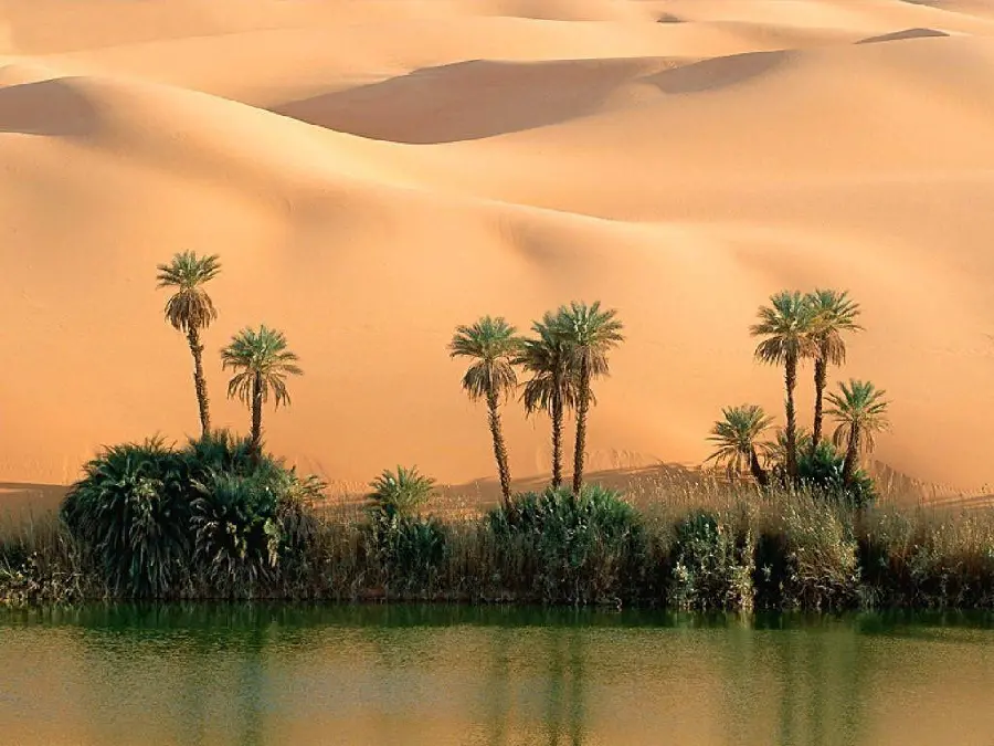 Beautiful Desert Image for Computer Background