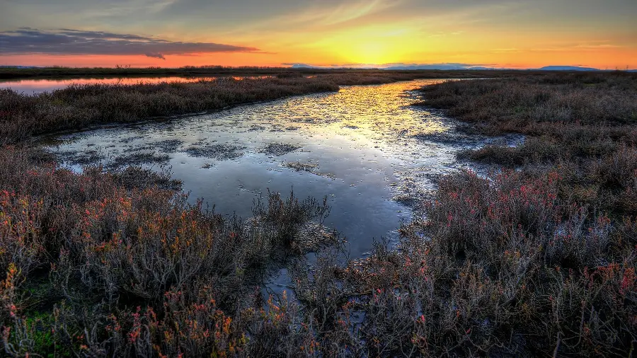 Beautiful Sunset Wallpaper California Field
