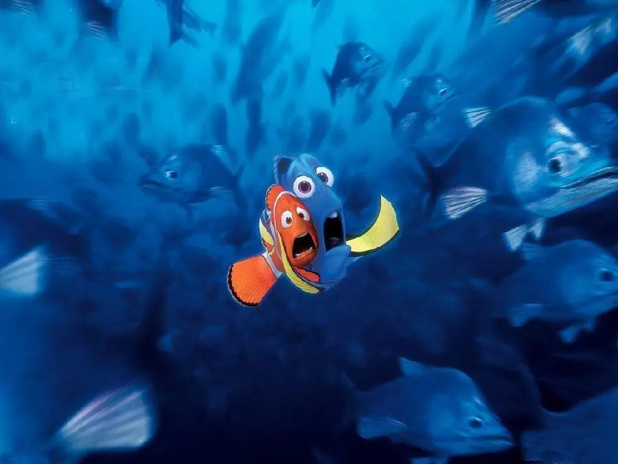 Finding Nemo 4K Animation Photo
