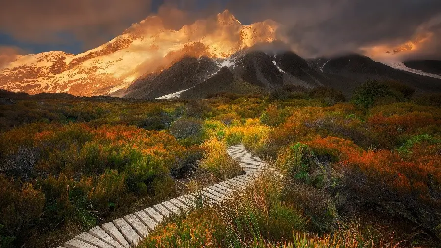 Full HD snowy mountain fog plants wallpaper