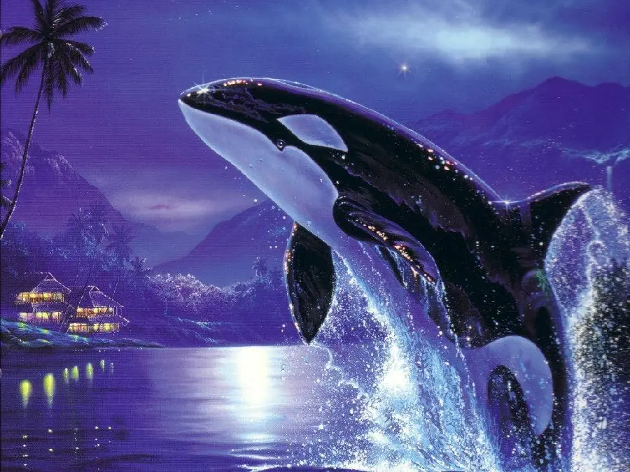 Killer whale art high-quality photo