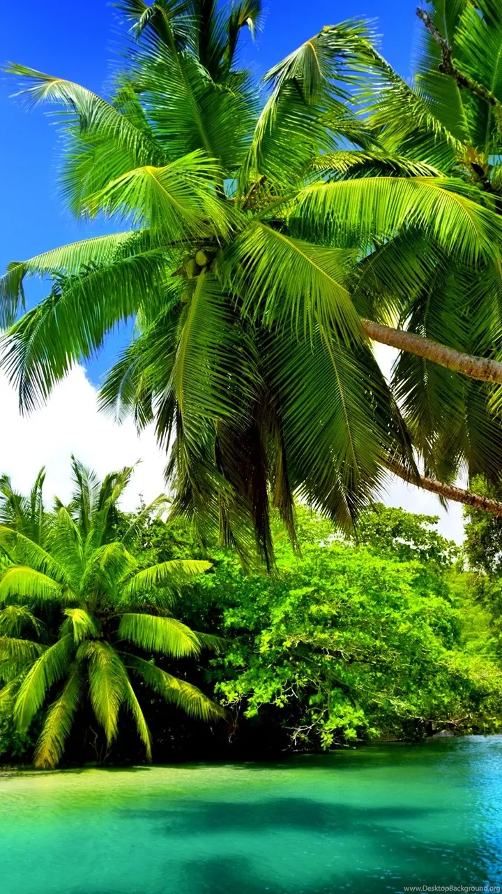 Dreamy Nature Wallpaper for Girls