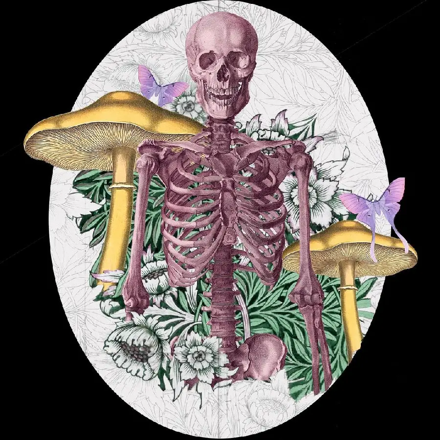 High Quality Human Skeleton Profile Picture for Social Media