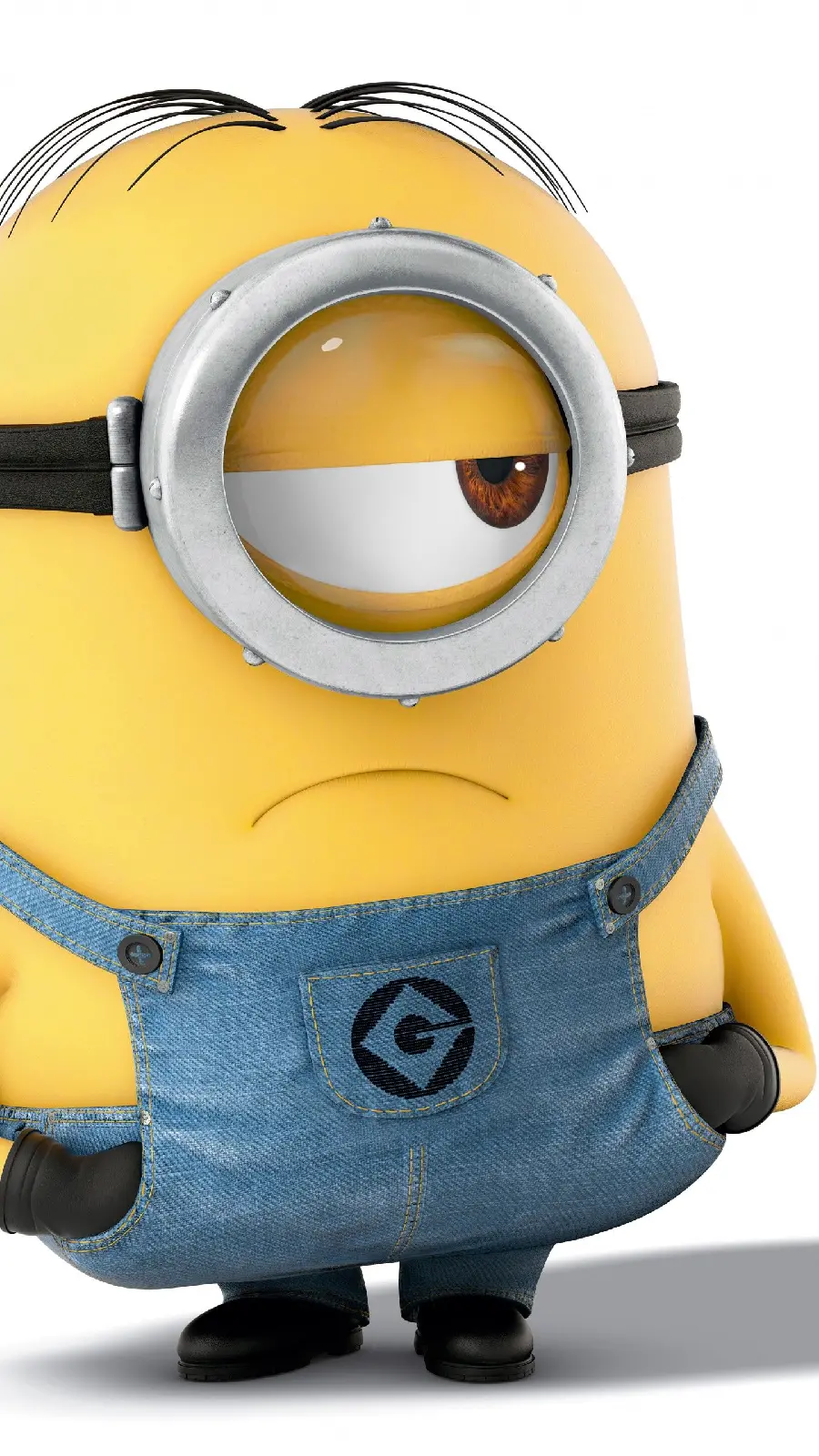 Minion HD quality picture featuring grumpy expression