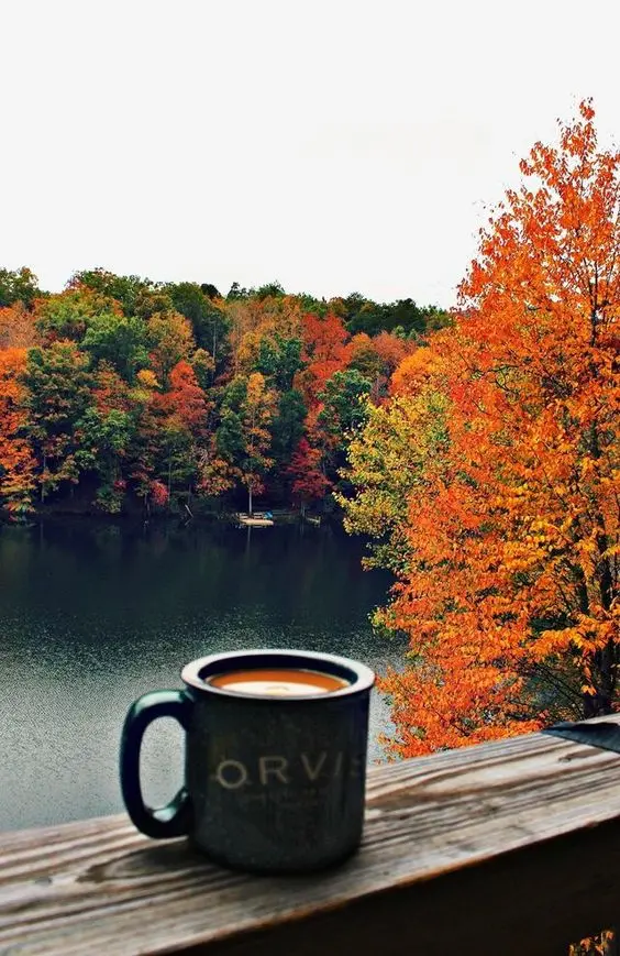 Romantic autumn landscape photography for nature lovers