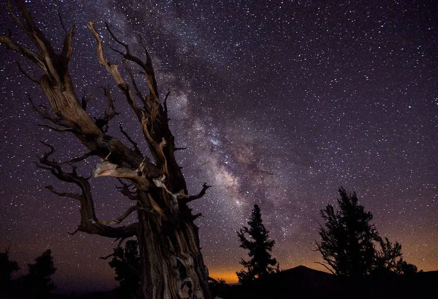 High Quality Milky Way Galaxy Photo