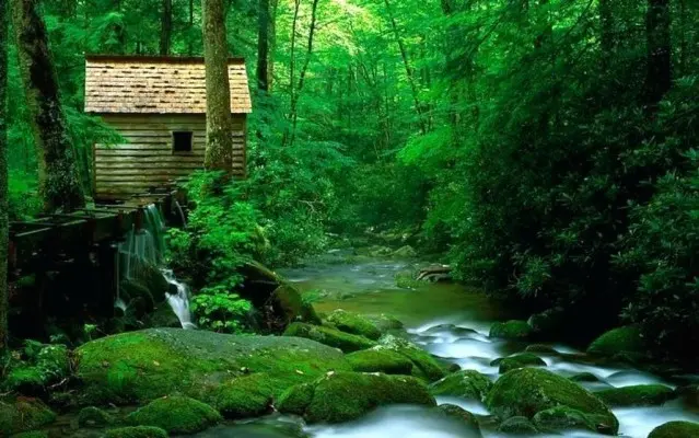 New Nature Wallpaper for Desktop and Mobile