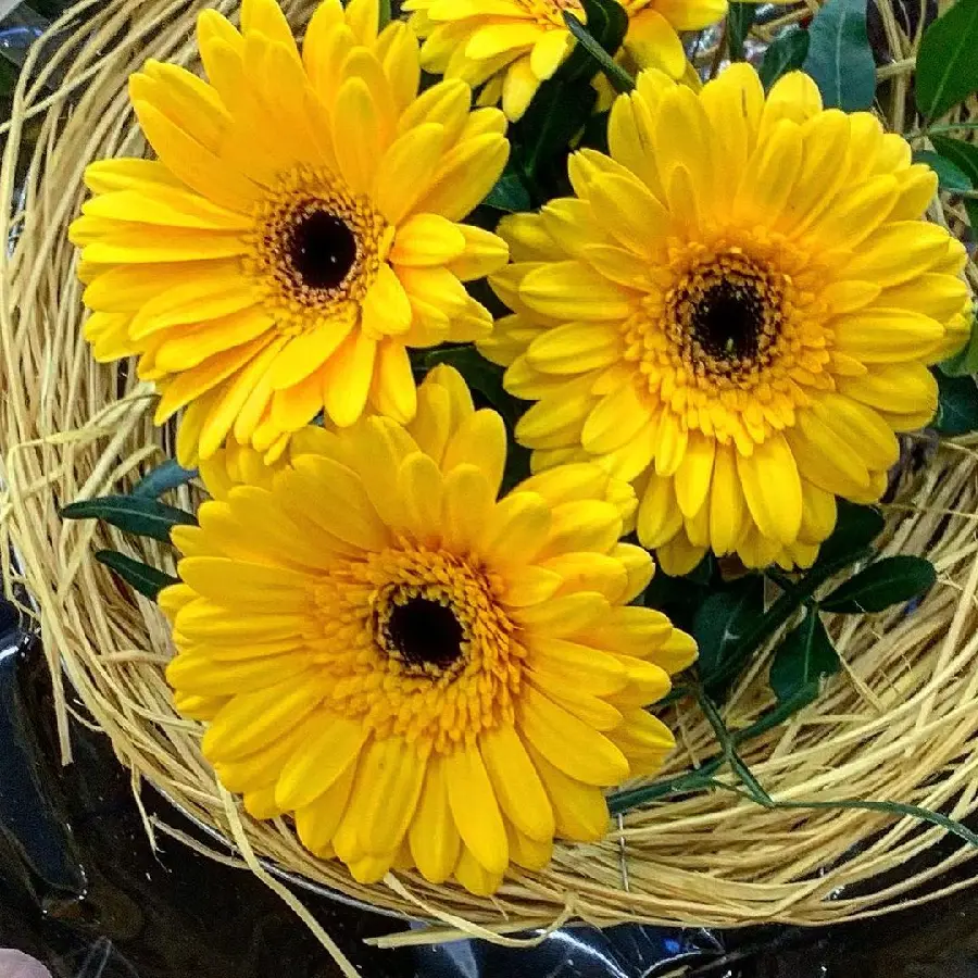 Attractive High Quality Photo of Beautiful Yellow Flower Bouquet