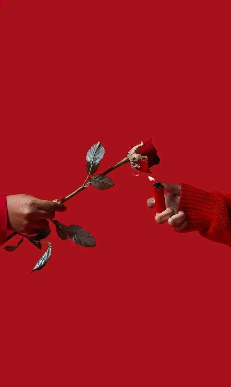 Beautiful Red Color Wallpaper High Quality