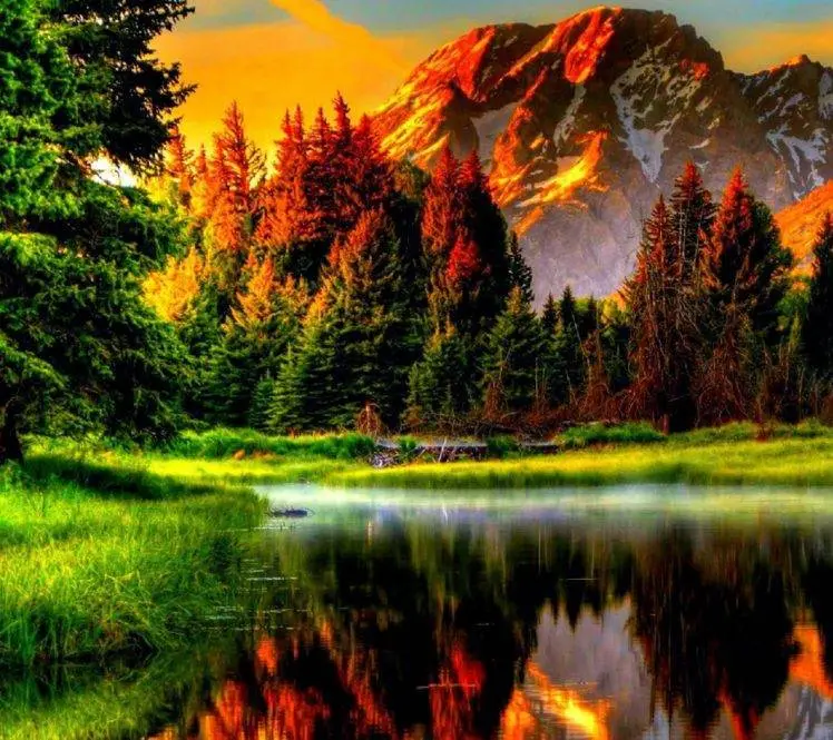 Download 100+ Full HD and 4K Nature Wallpapers for Desktop