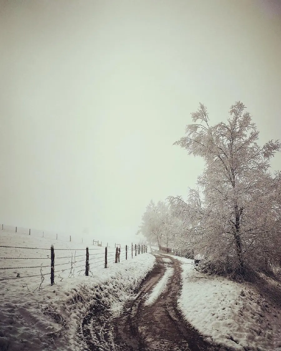 High Quality Winter Profile Picture for Social Media
