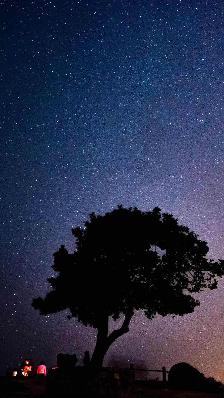 Star Filled Night Sky Photo