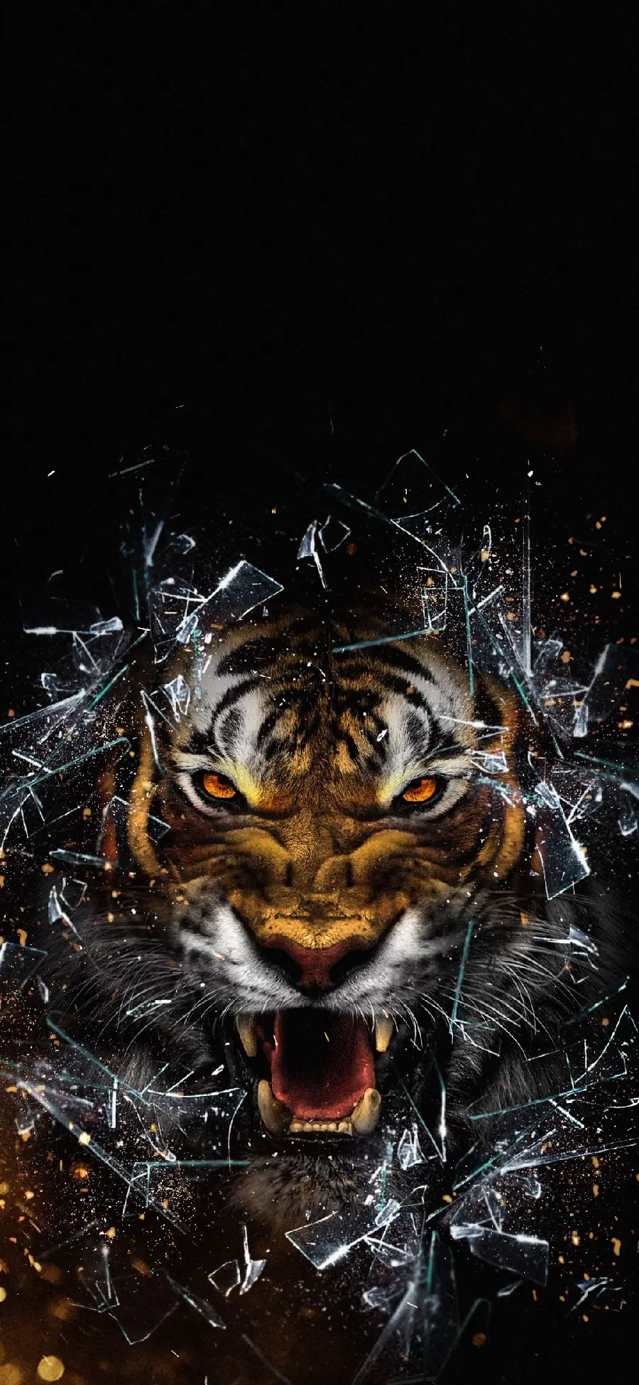 Wild Tiger Phone Wallpaper in HD Quality