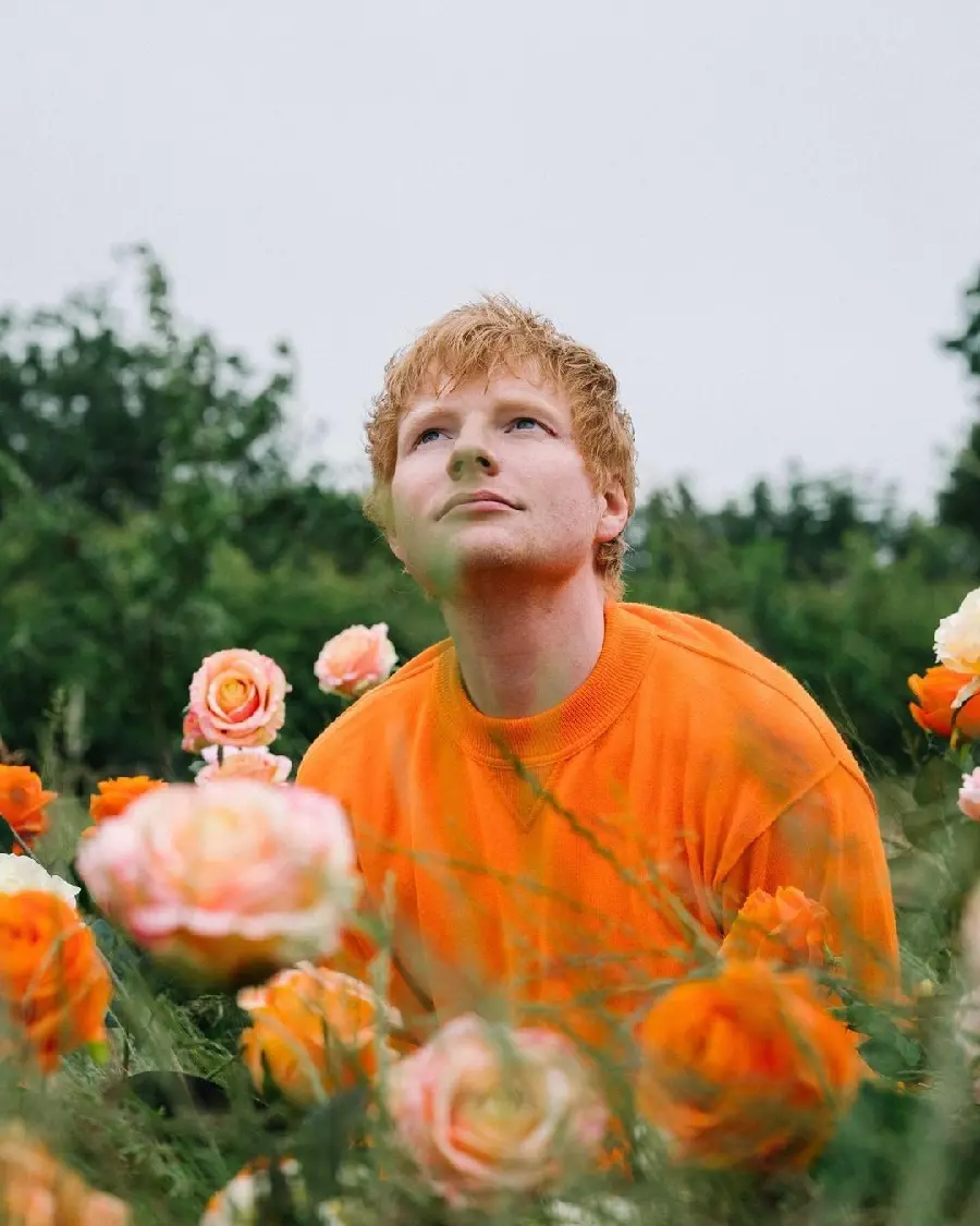 Ed Sheeran Talented Star Picture