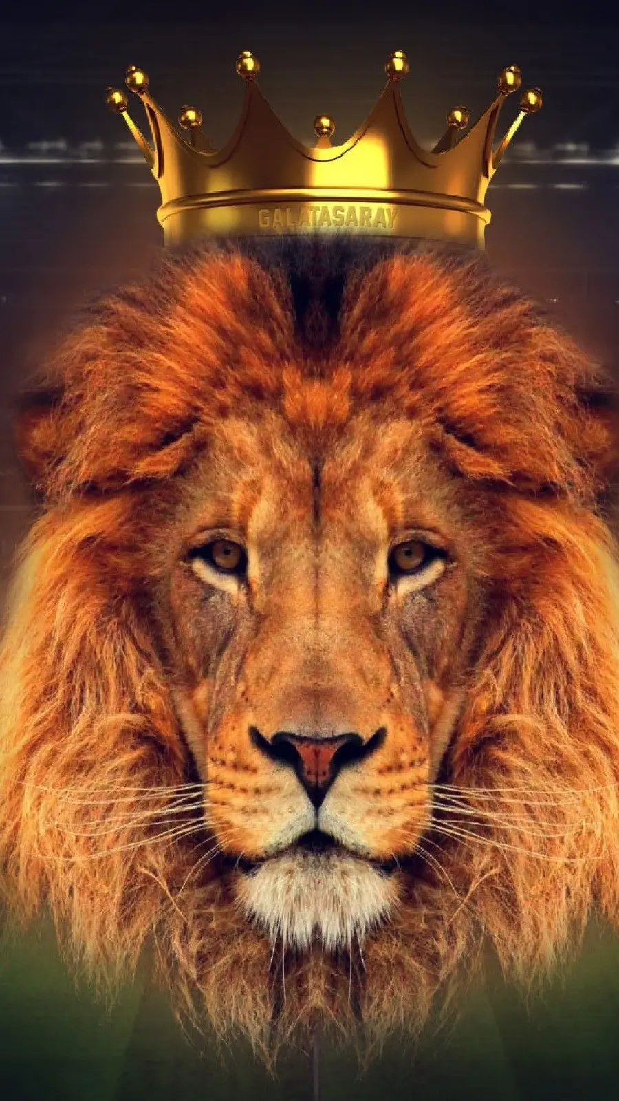 High Quality Lion With Crown Profile Photo