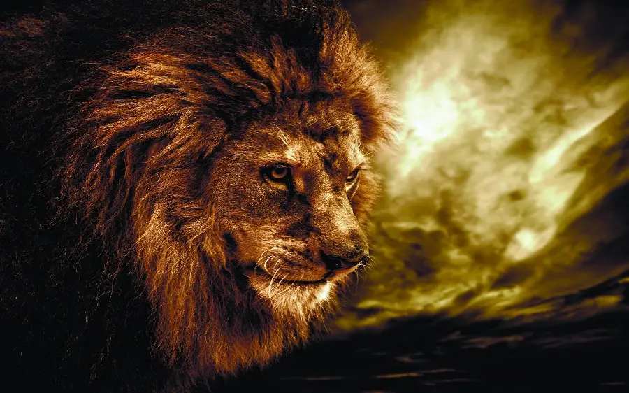 Lion King Background Images in HD
