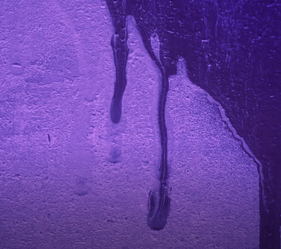HD Purple Wallpapers For Mobile Phones And Smartphones