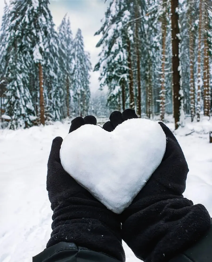 Unique winter background for boys and girls phones