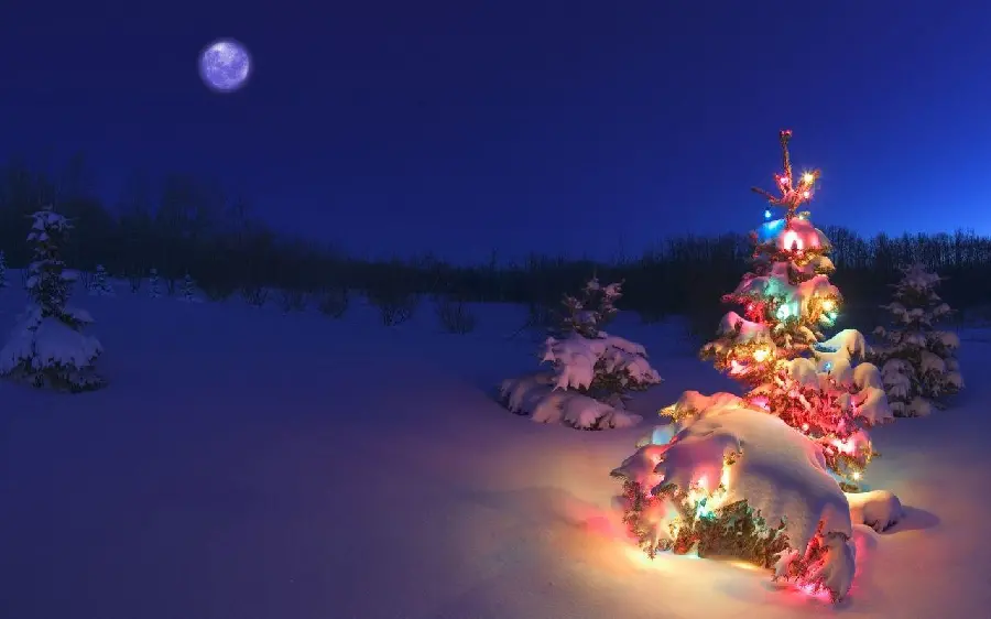 Lit Christmas tree background in HD quality
