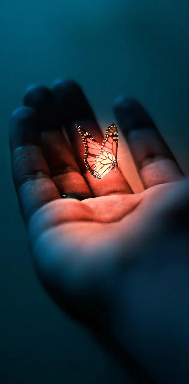Fantasy Butterfly Profile Picture for Social Media