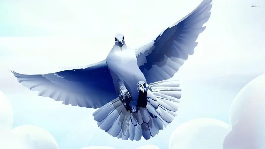 Pigeon Painting in Flight Artistic Photo for Creative Projects