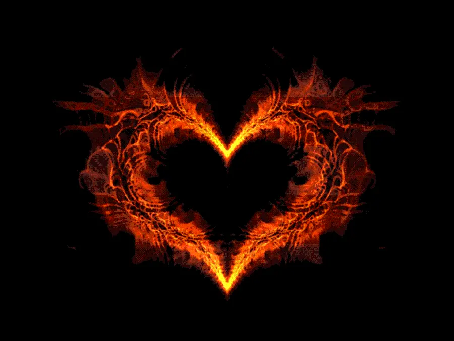 Unique orange romantic heart with butterfly wings for profiles